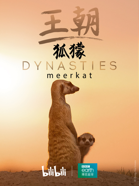 王朝 2：狐獴特辑