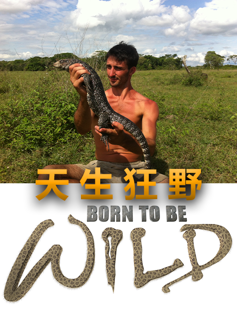 天生狂野