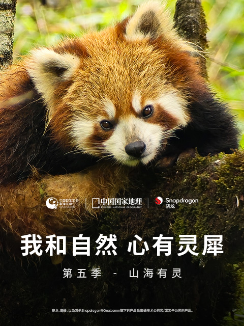 《我和自然 心有灵犀》第五季 - 山海有灵