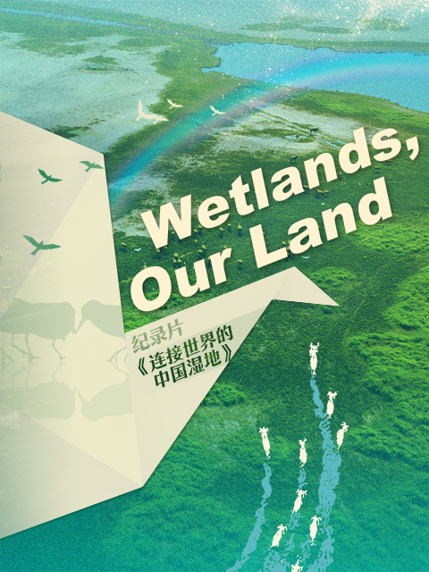 连接世界的中国湿地
