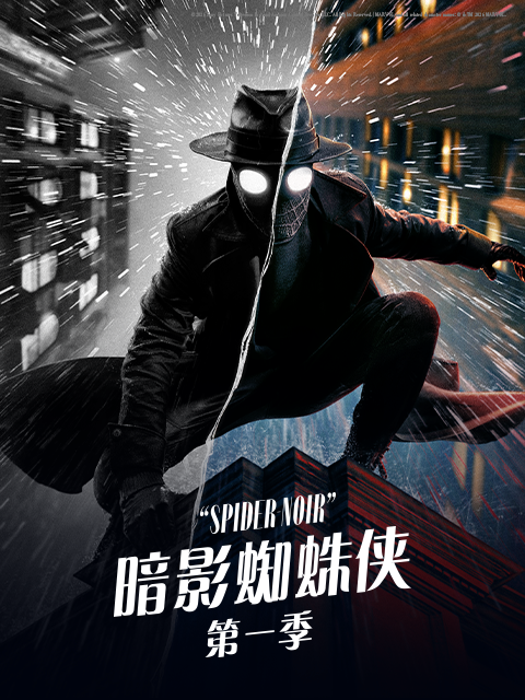暗影蜘蛛侠（黑白版）