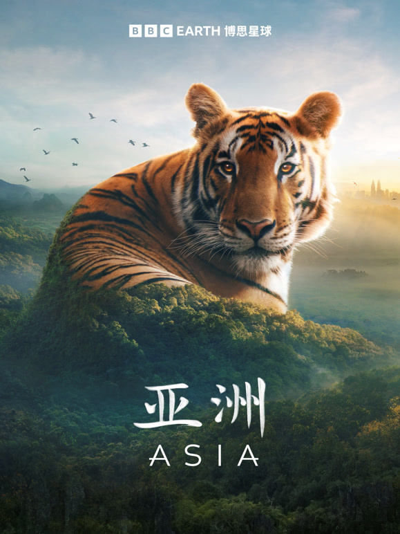 亚洲 中文版