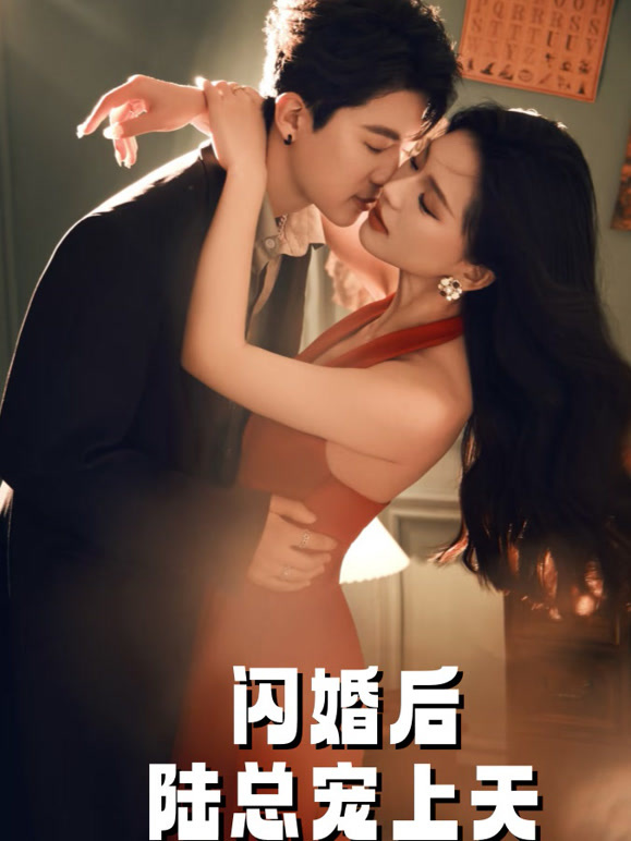 闪婚后，陆总宠上天