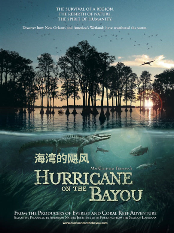 海湾的飓风