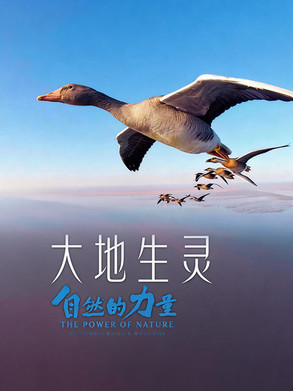 大地生灵
