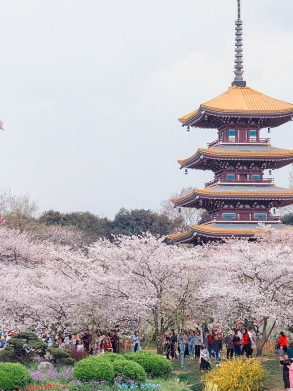真一带你去旅游