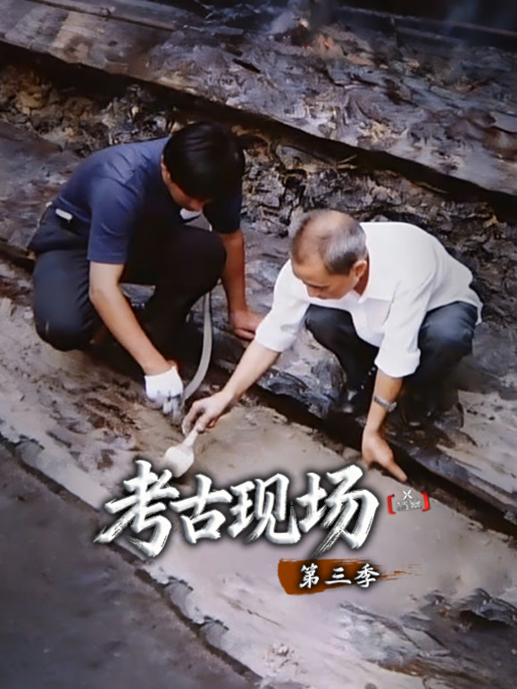X档案·考古现场第三季