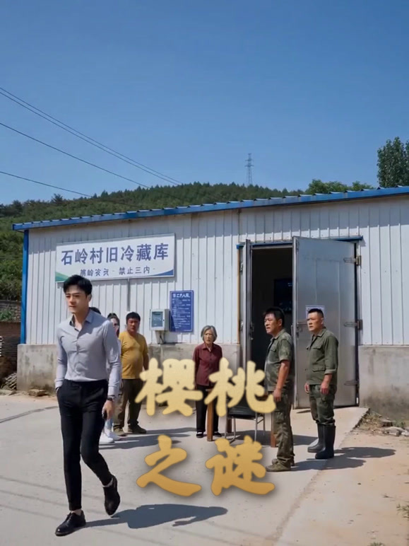 樱桃之谜