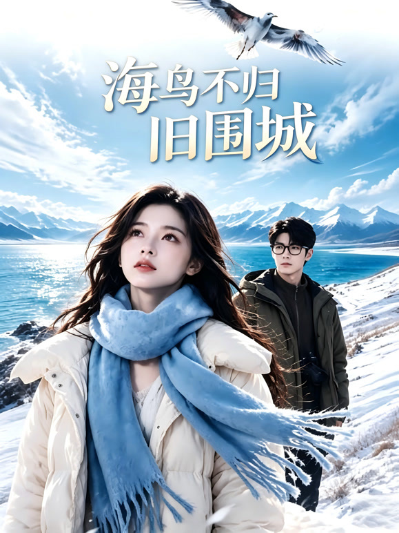 海鸟不归旧围城
