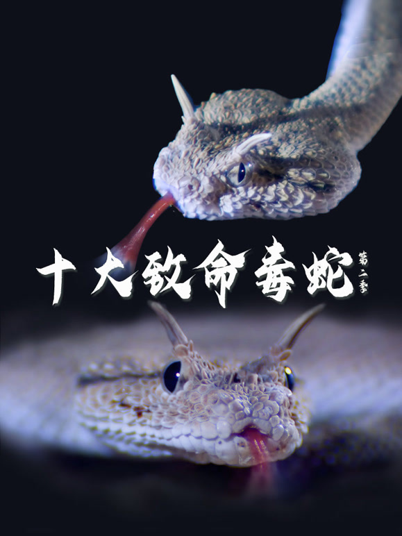 十大致命毒蛇第二季配音版