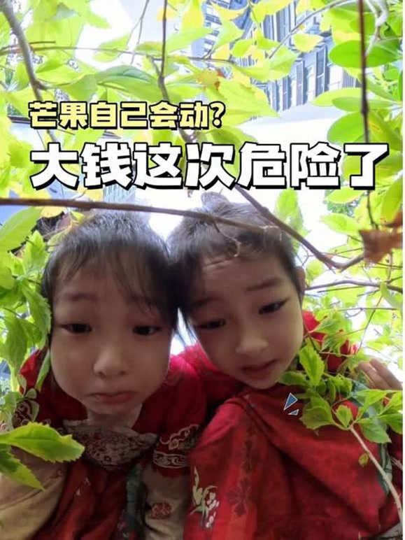 大钱小钱my的2026年合集