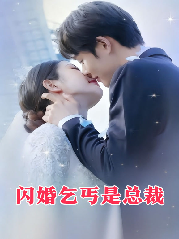 闪婚乞丐是总裁