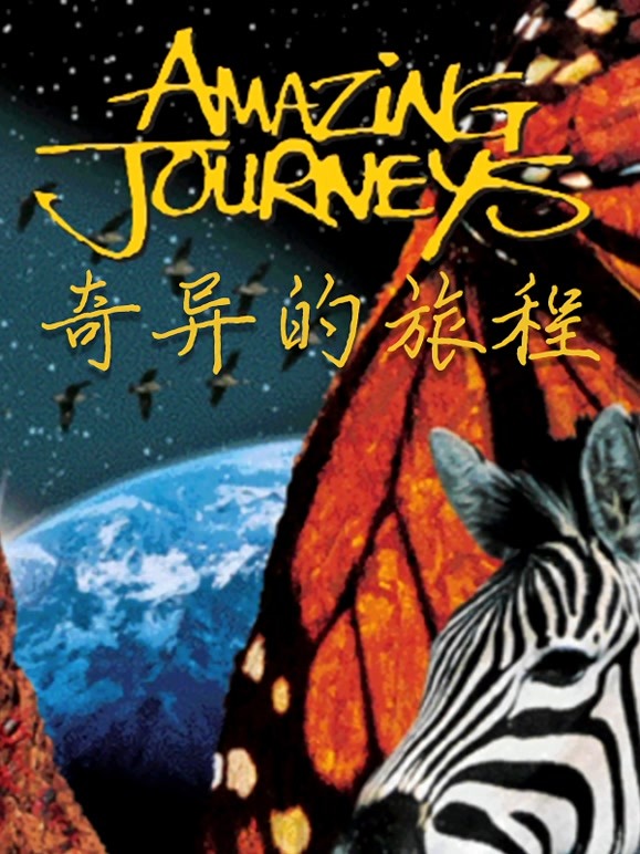 奇异的旅程