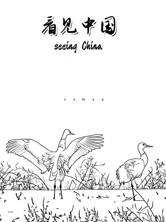 看见中国