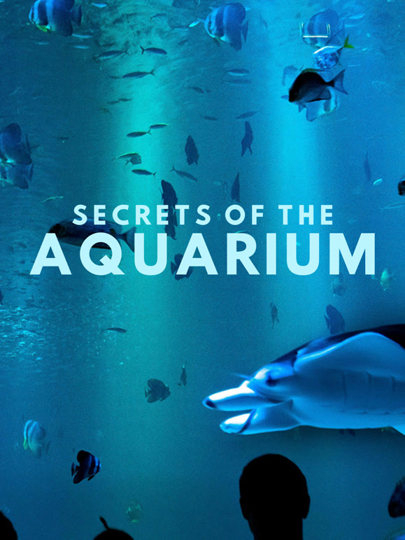 水族馆的奥秘