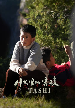 月光里的男孩