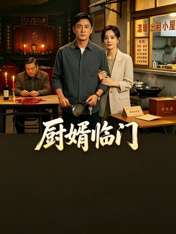 厨婿临门