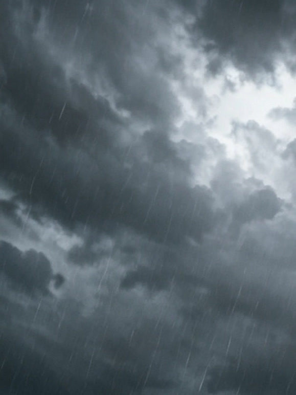 瓜田风雨见人心