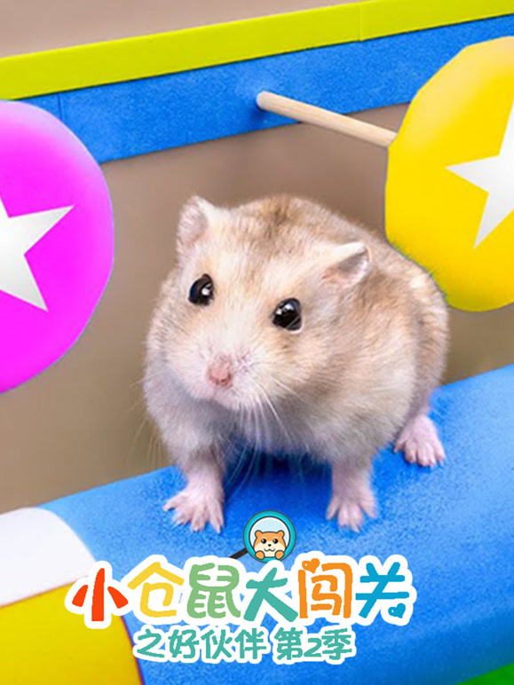 小仓鼠大闯关之好伙伴 第二季