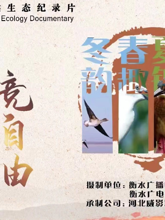四季衡湖竞自由