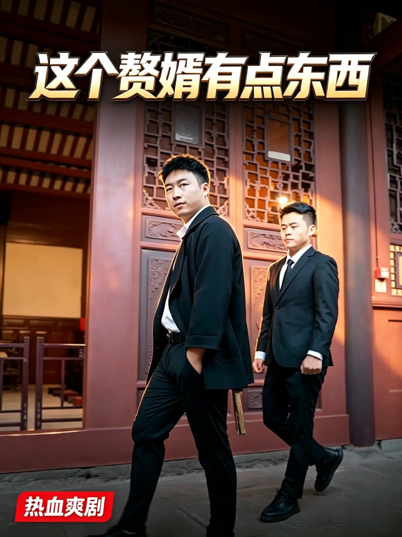 这个赘婿有点东西