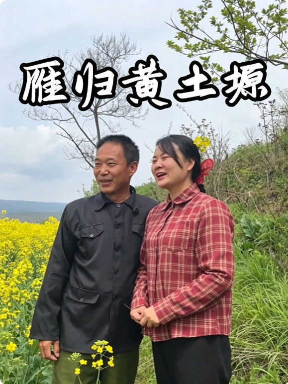 雁归黄土塬