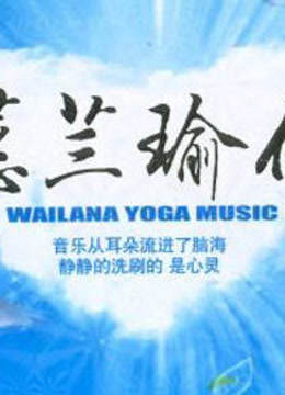 蕙兰瑜伽简易系列