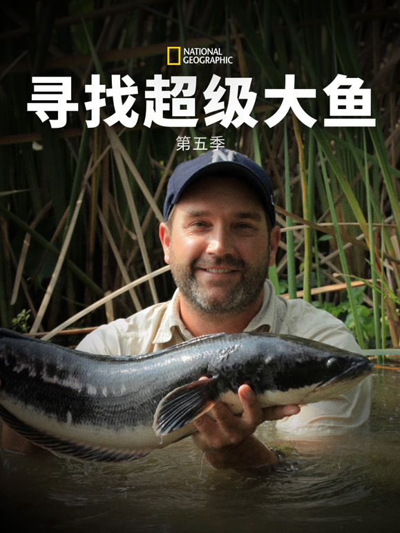 寻找超级大鱼 第五季