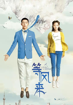 等风来（2013）