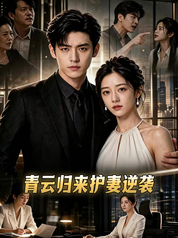 青云归来护妻逆袭