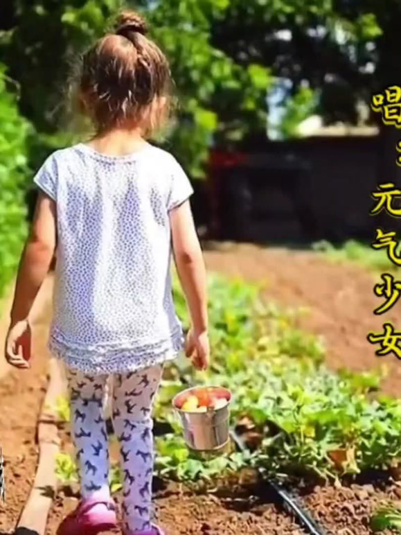 少年歌曲合辑