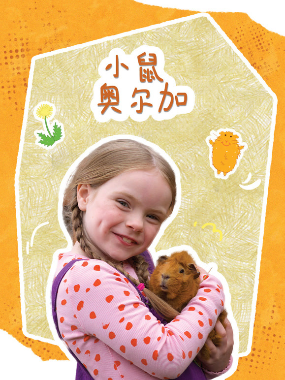 小鼠奥尔加