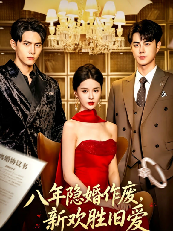 八年隐婚作废，新欢胜旧爱