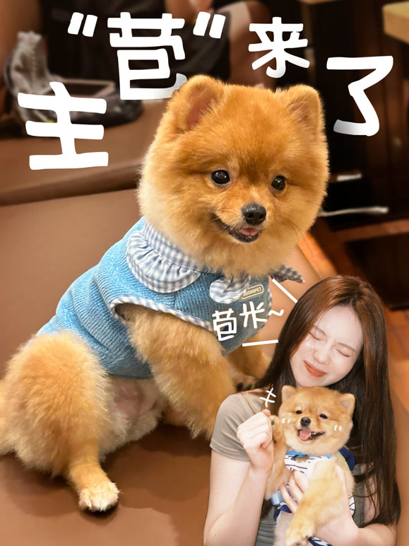 一口汉堡苞