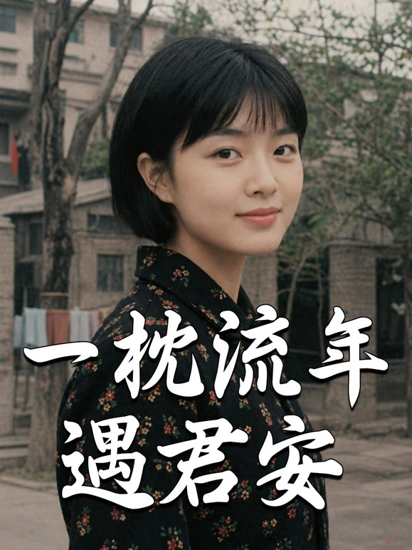 一枕流年遇君安