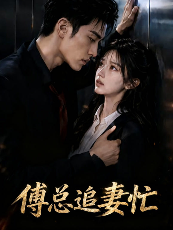 傅总追妻忙