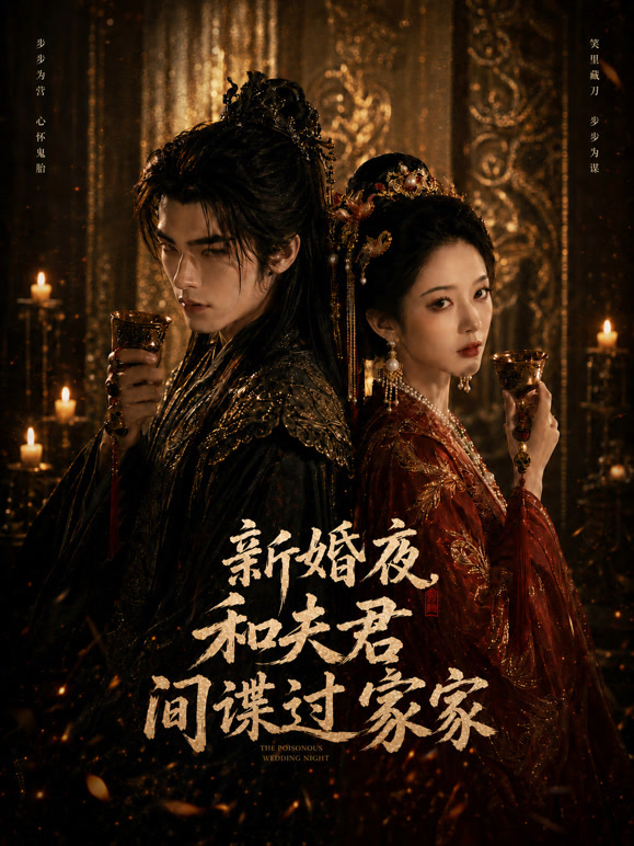 新婚夜和夫君间谍过家家
