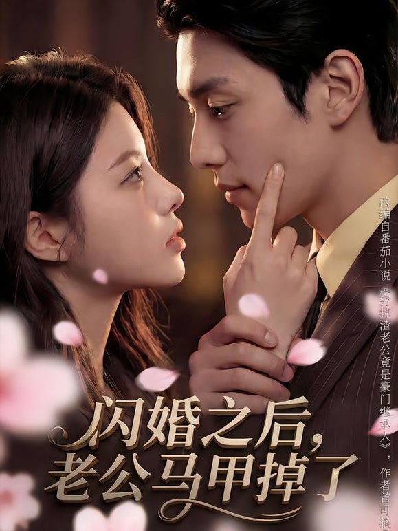 闪婚之后，老公马甲掉了