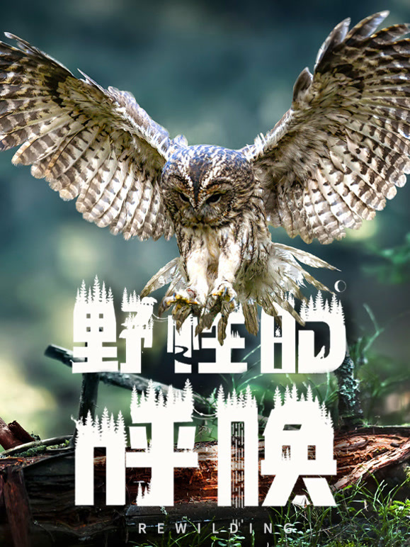 野性的呼唤
