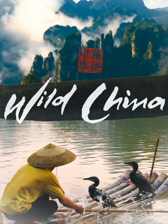 美丽中国