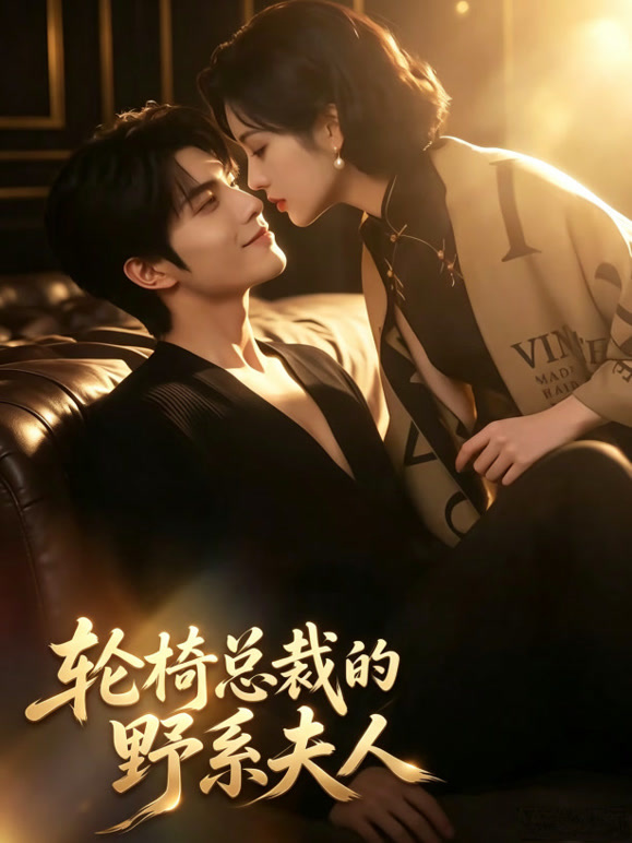 轮椅总裁的野系夫人