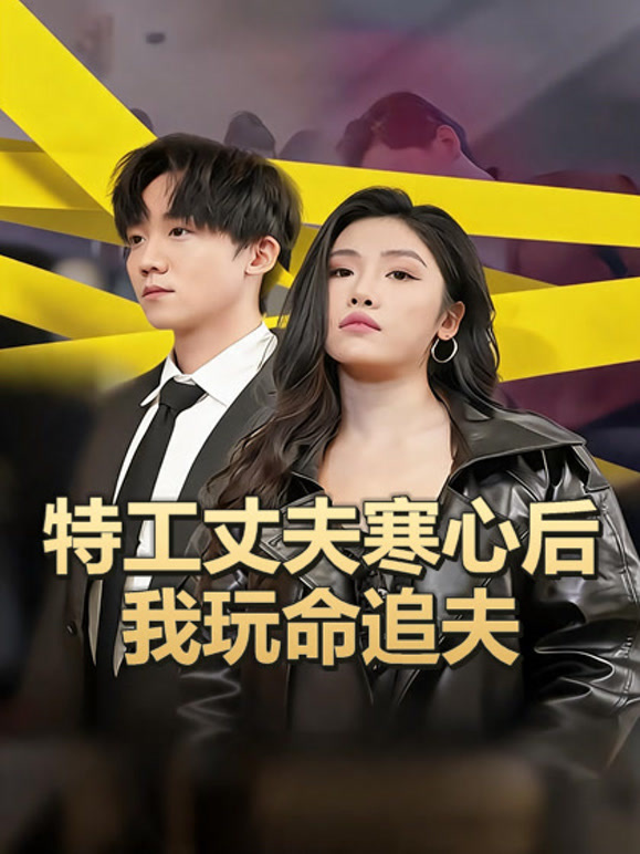 特工丈夫寒心后我玩命追夫