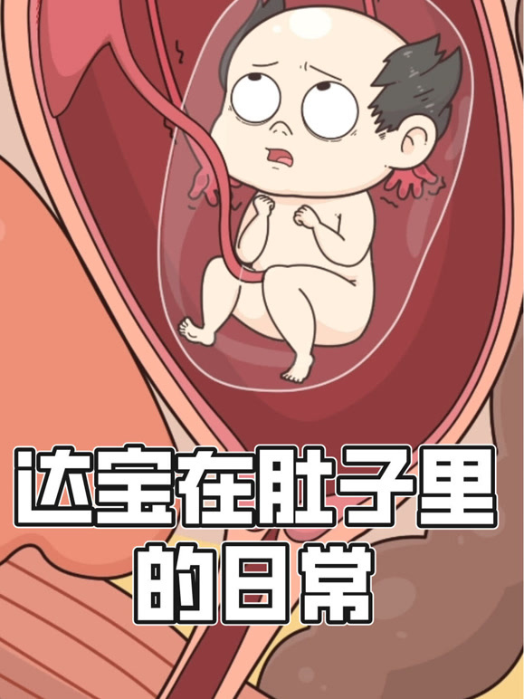 达宝在肚子里的日常  动态漫画