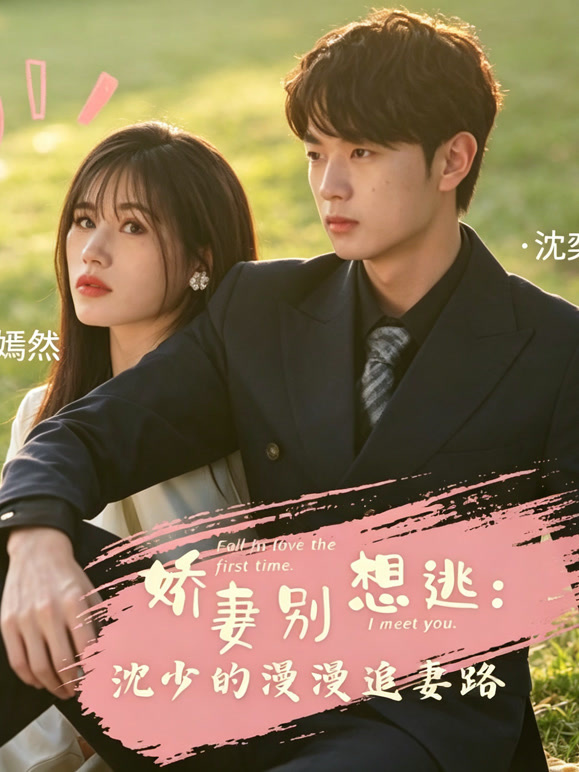 娇妻别想逃：沈少的漫漫追妻路