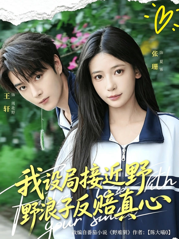 我设局接近野浪子反赔真心