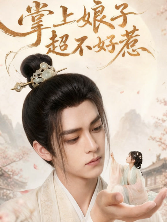掌上娘子超不好惹