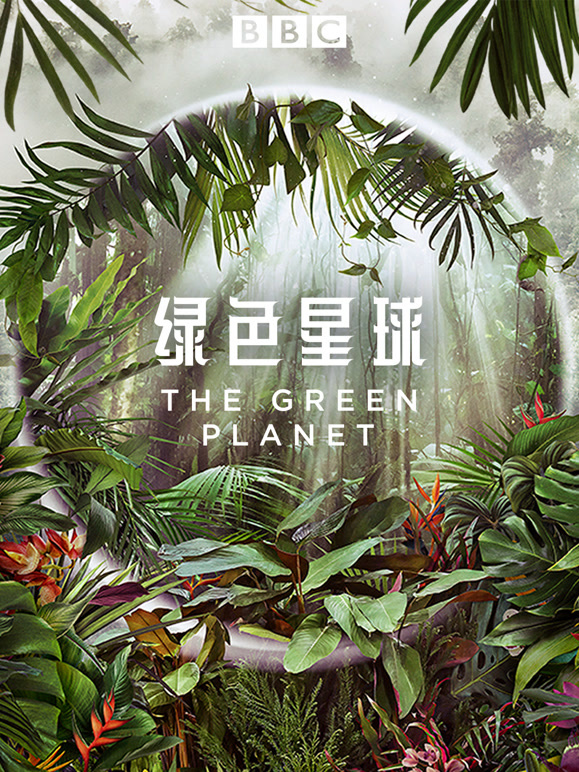 绿色星球