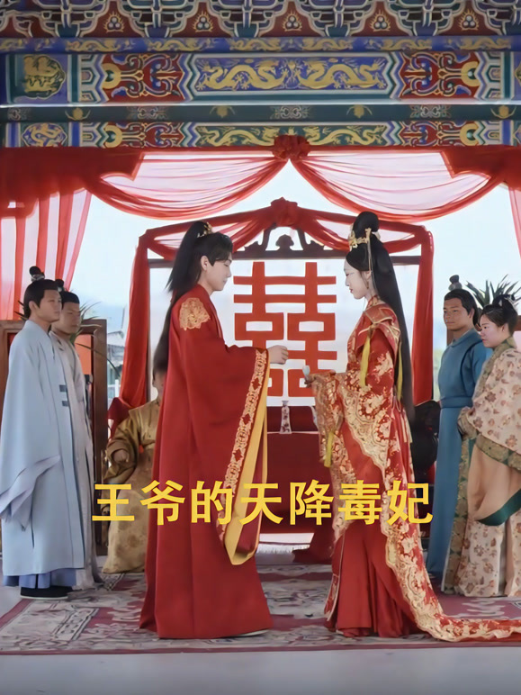 王爷的天降毒妃