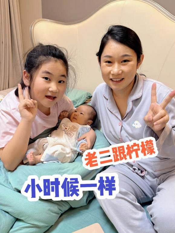 你好仲文的2026年合集