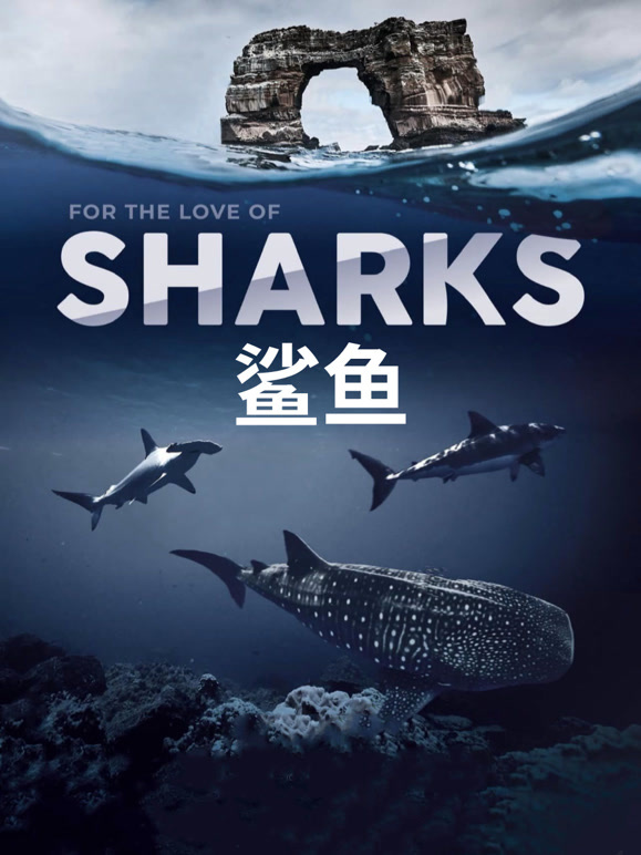 鲨鱼英文版